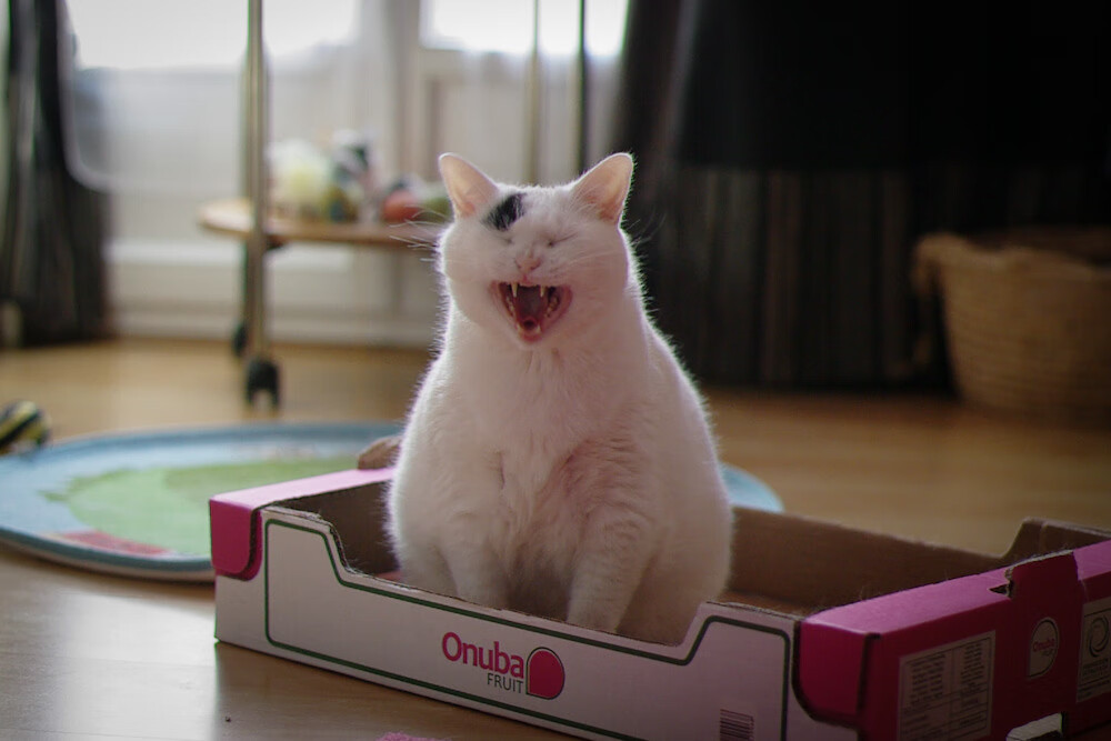 CF手游签到点关闭后如何补签