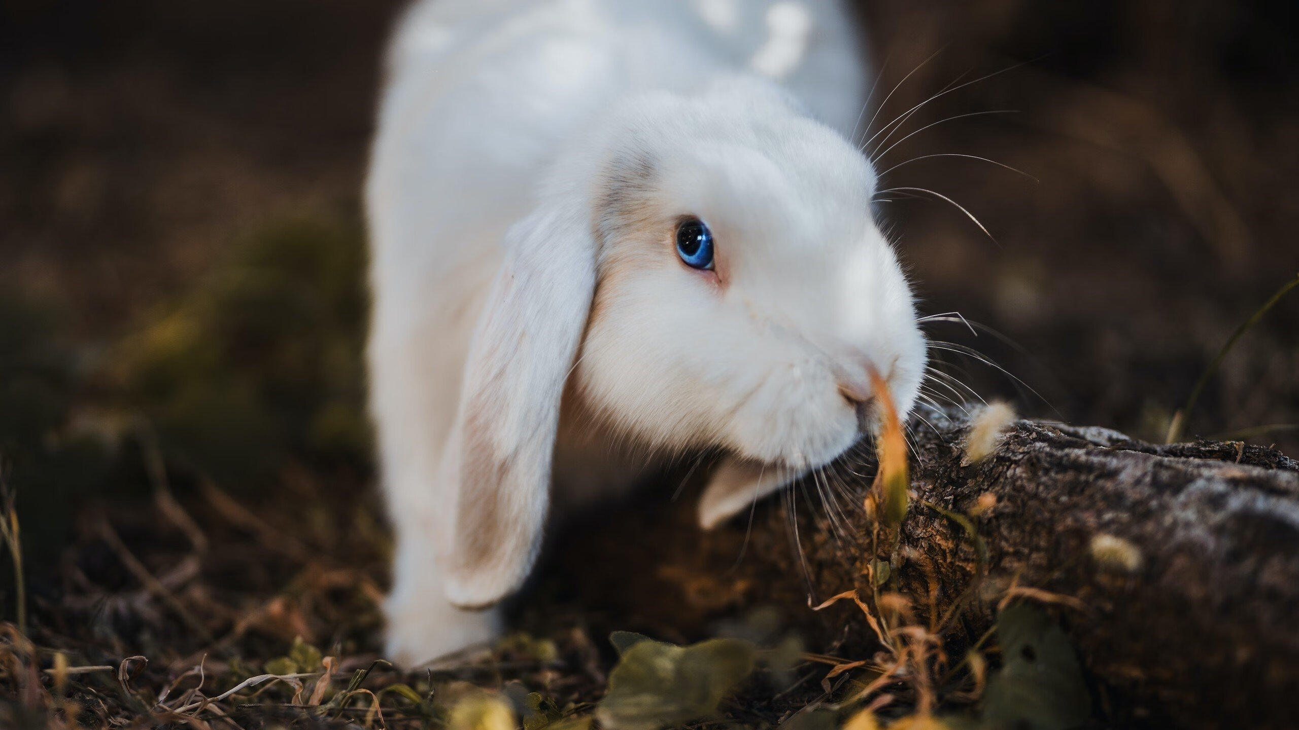 ETC卡离车后是否需要拔出