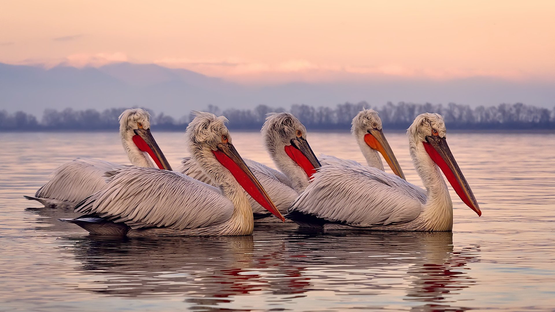 燕山大学学术刊物与期刊水平如何？