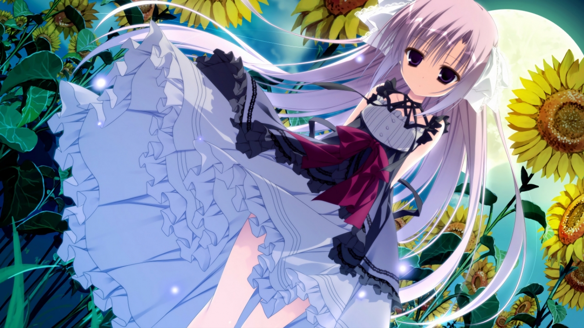 眼线与眼影的先后顺序