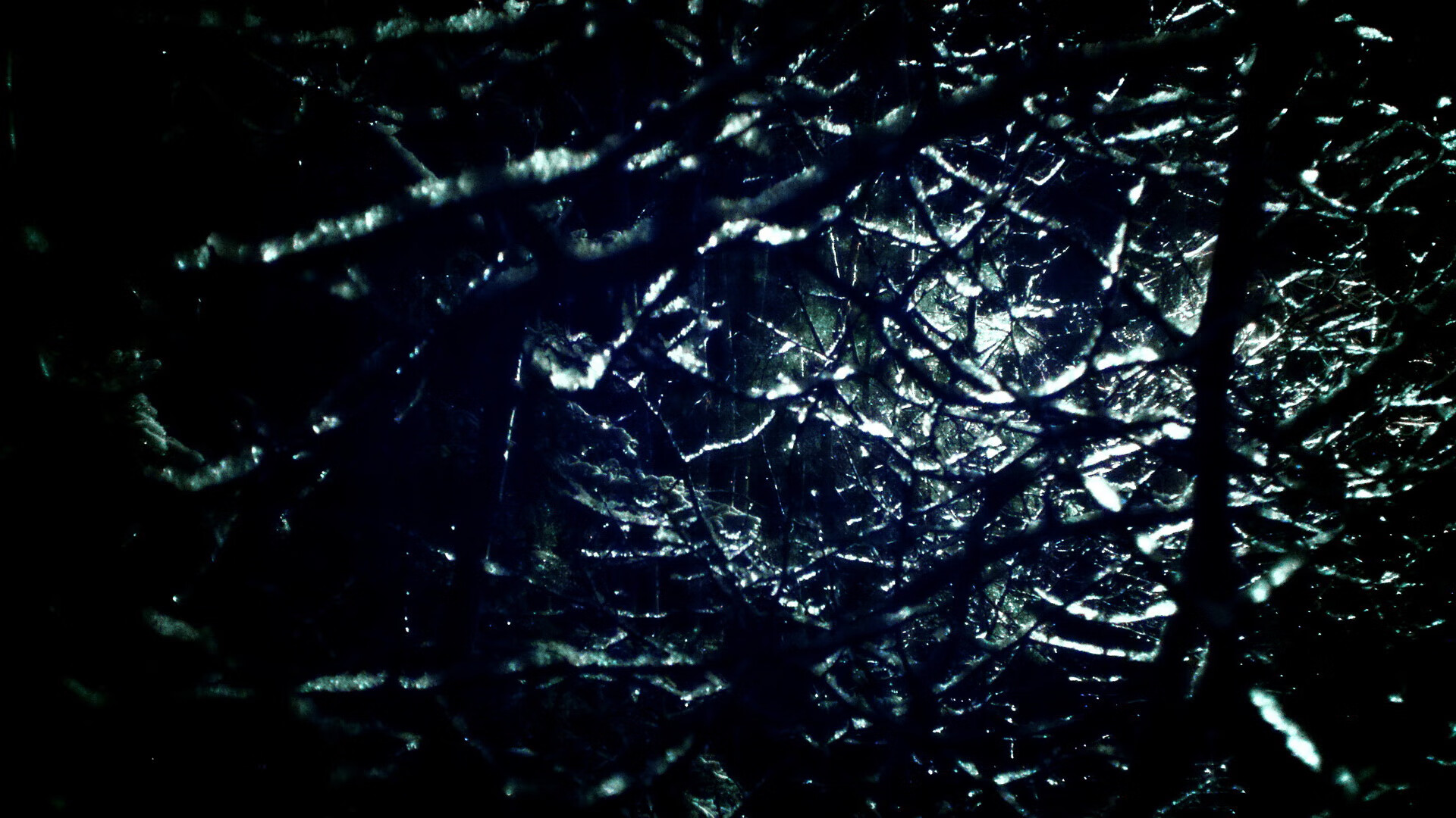 饲养刺猬有哪些民间忌讳