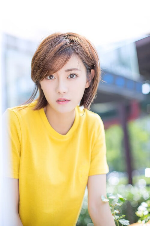 "声名鹊起"的含义解析