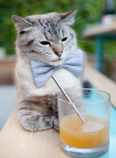 "好玩吧挖矿是否可靠"