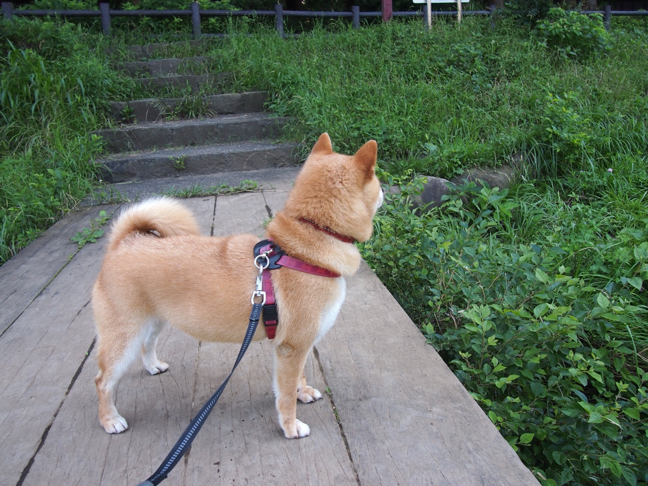 蚕结茧后何时可移动