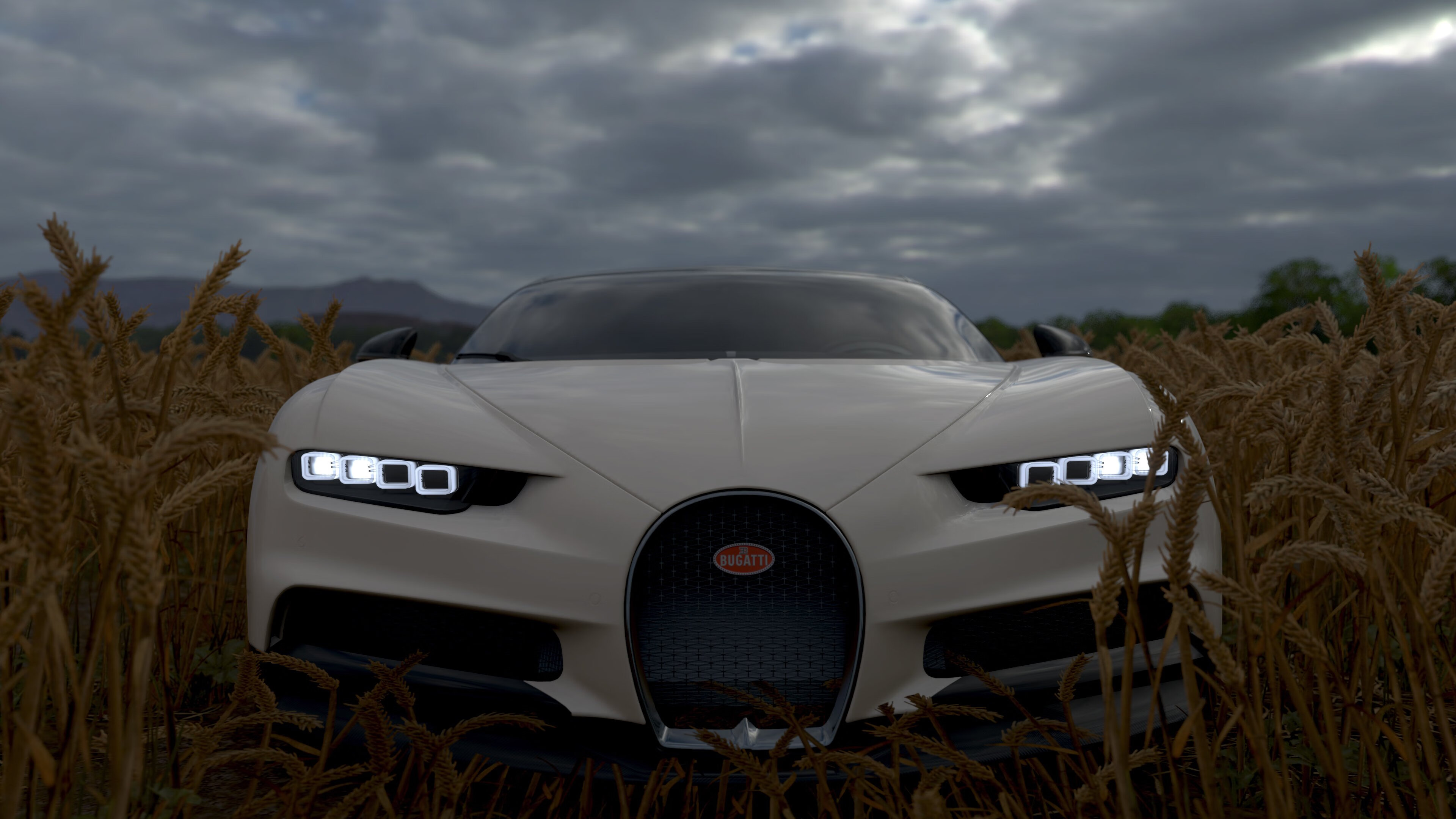 虎皮鹦鹉与八哥哪种更易学语