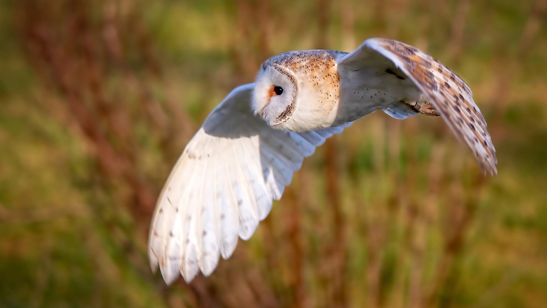 行车记录仪回放查看方法
