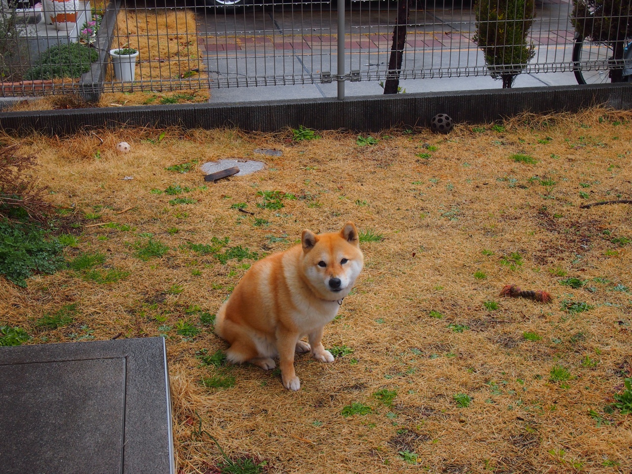 门口摆放镜子的风水禁忌与讲究