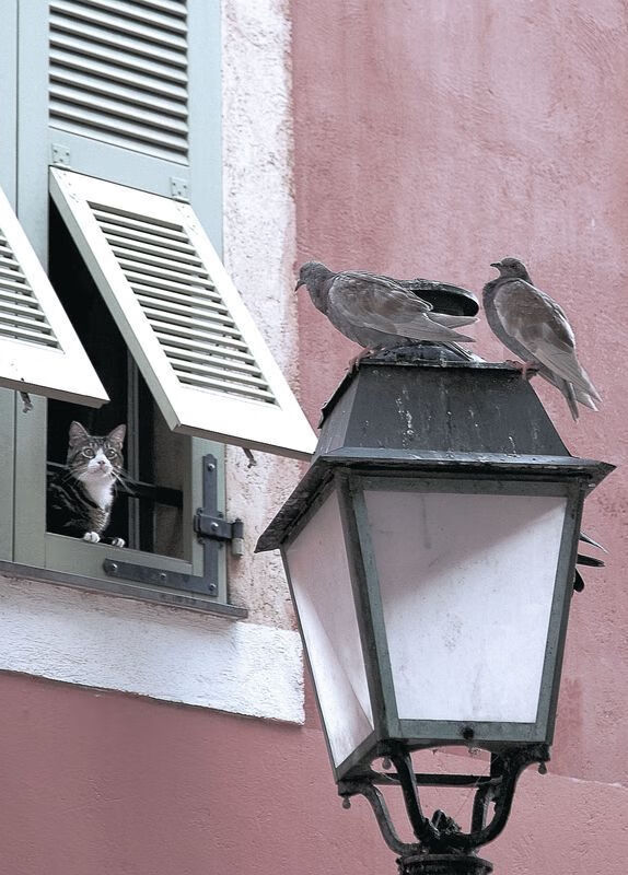 军绿色长款外套搭配指南