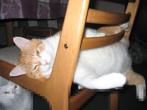 河北工程大学科研设施与实验室管理情况如何？