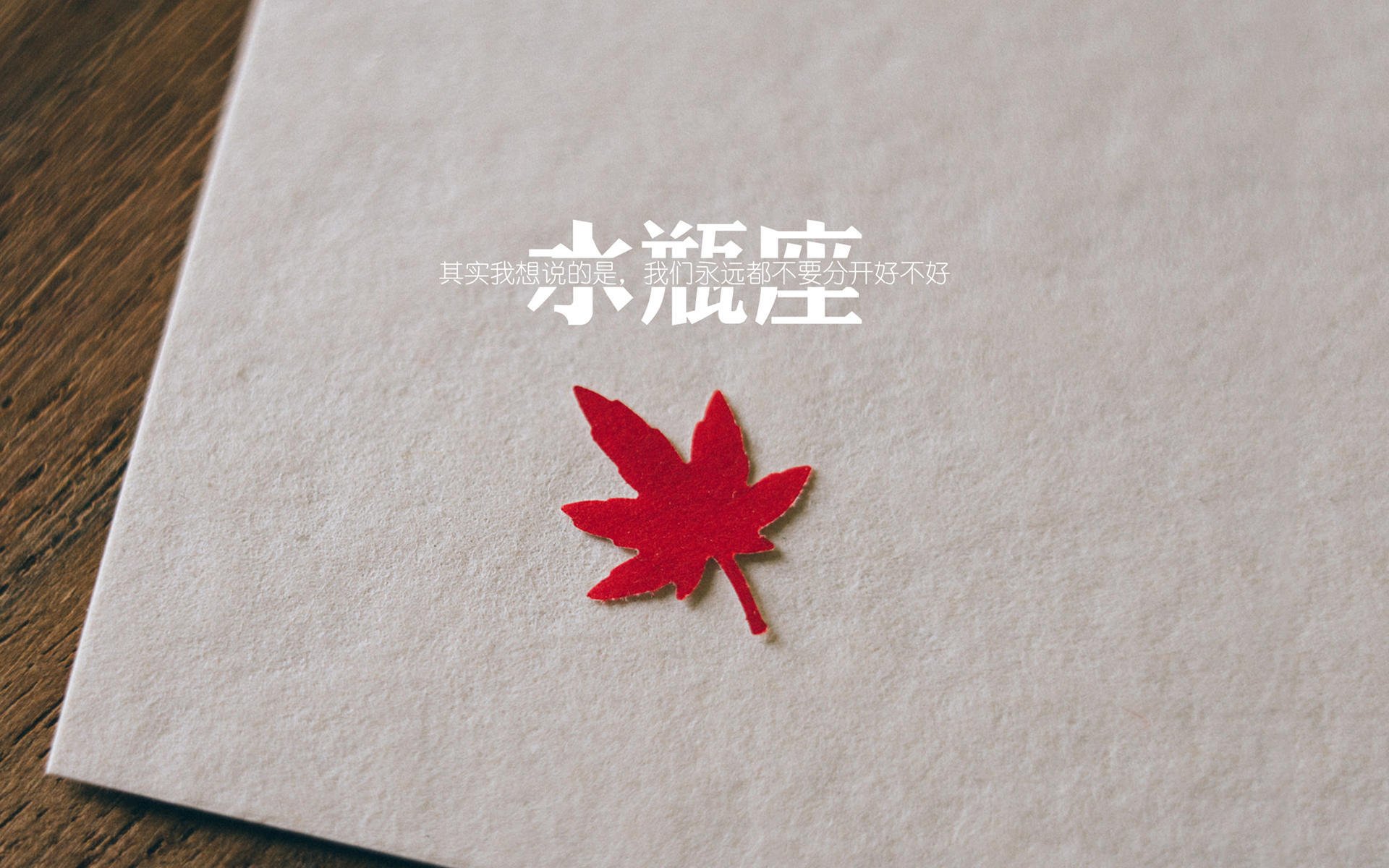 "a186车型具体是什么车"