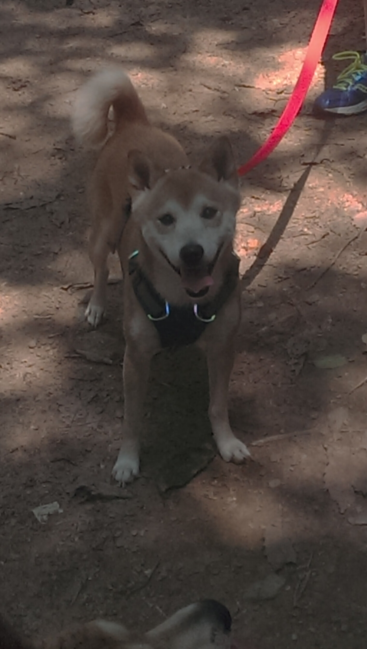 大燕国历代帝王一览