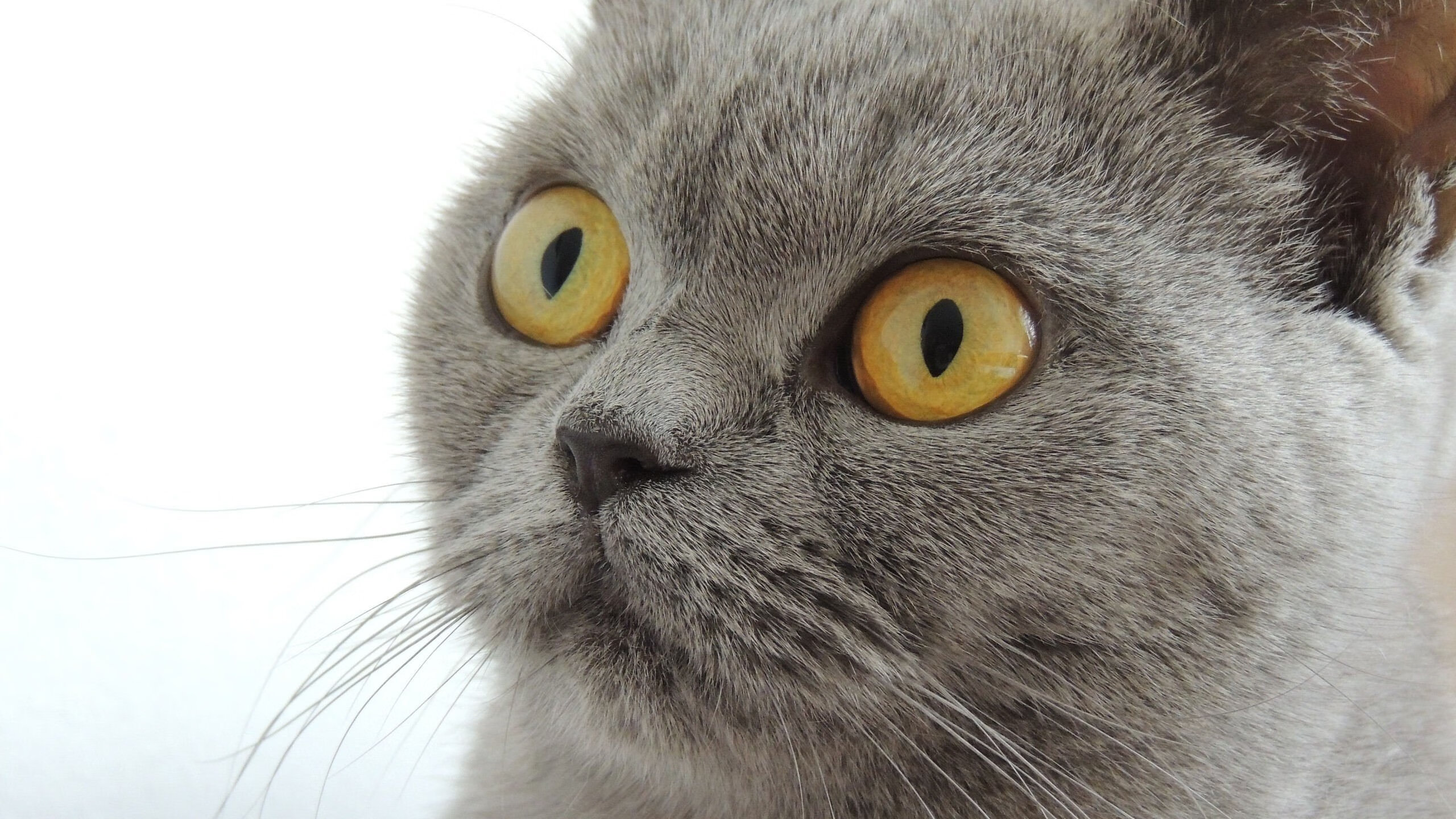 1兆帕（MPa）相当于多少公斤压力