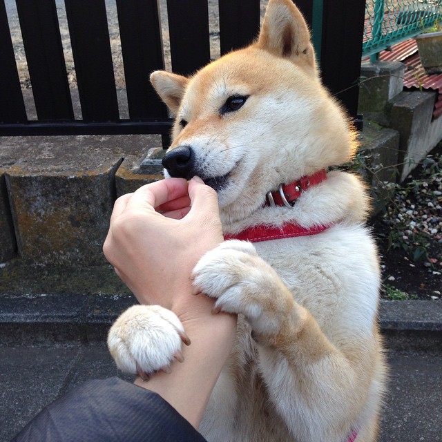 "节约里程法应用实例与解析"