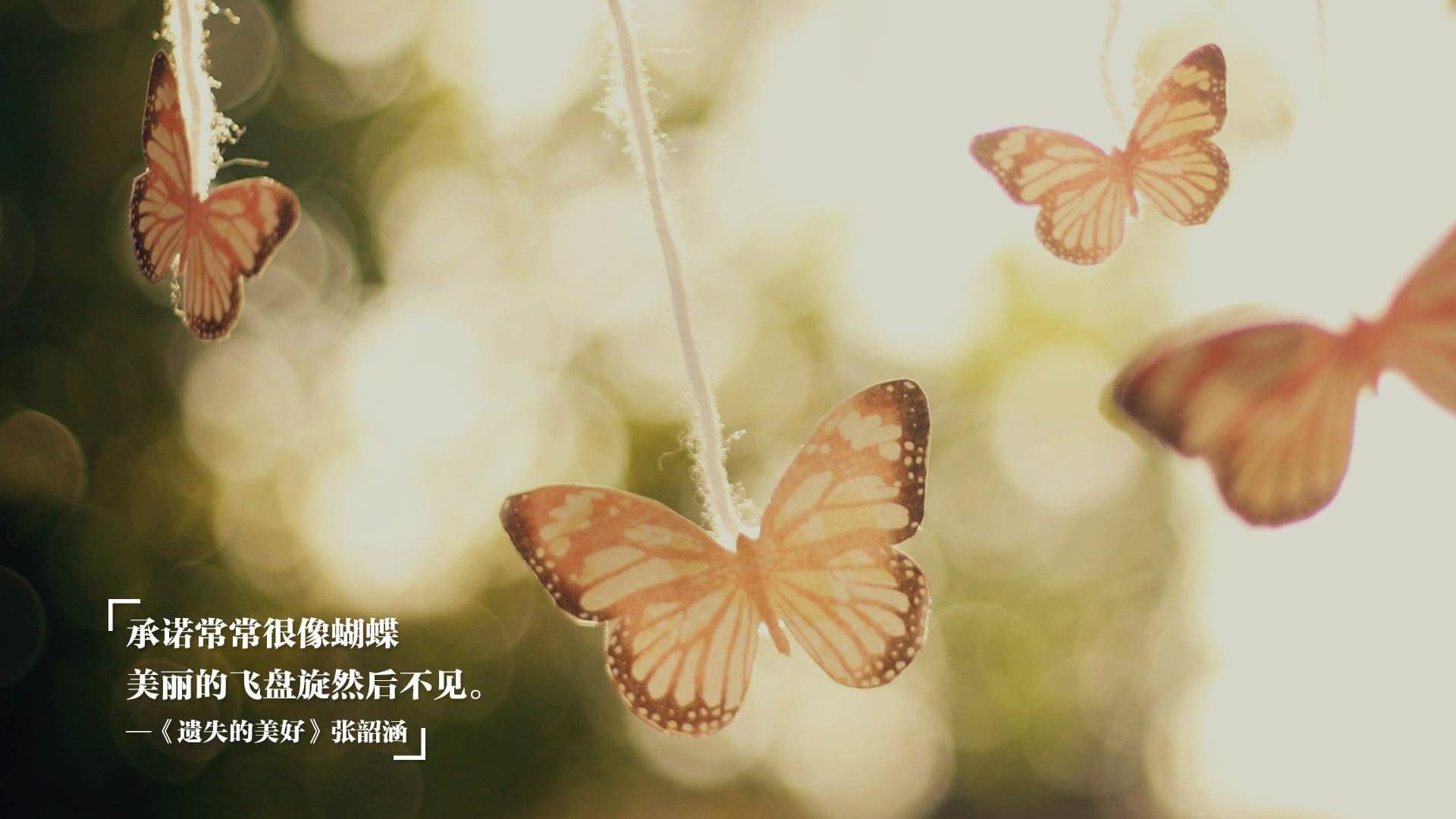 滋补土鸡汤的炖煮秘诀：美味与营养兼得