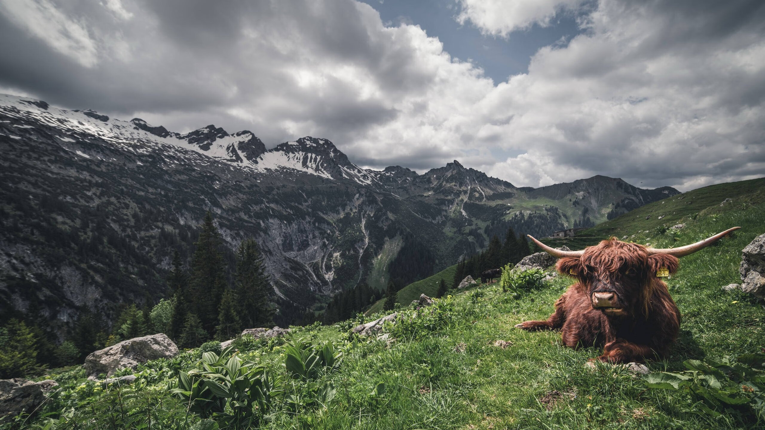 长春工业大学科技创新与创业竞赛情况如何？