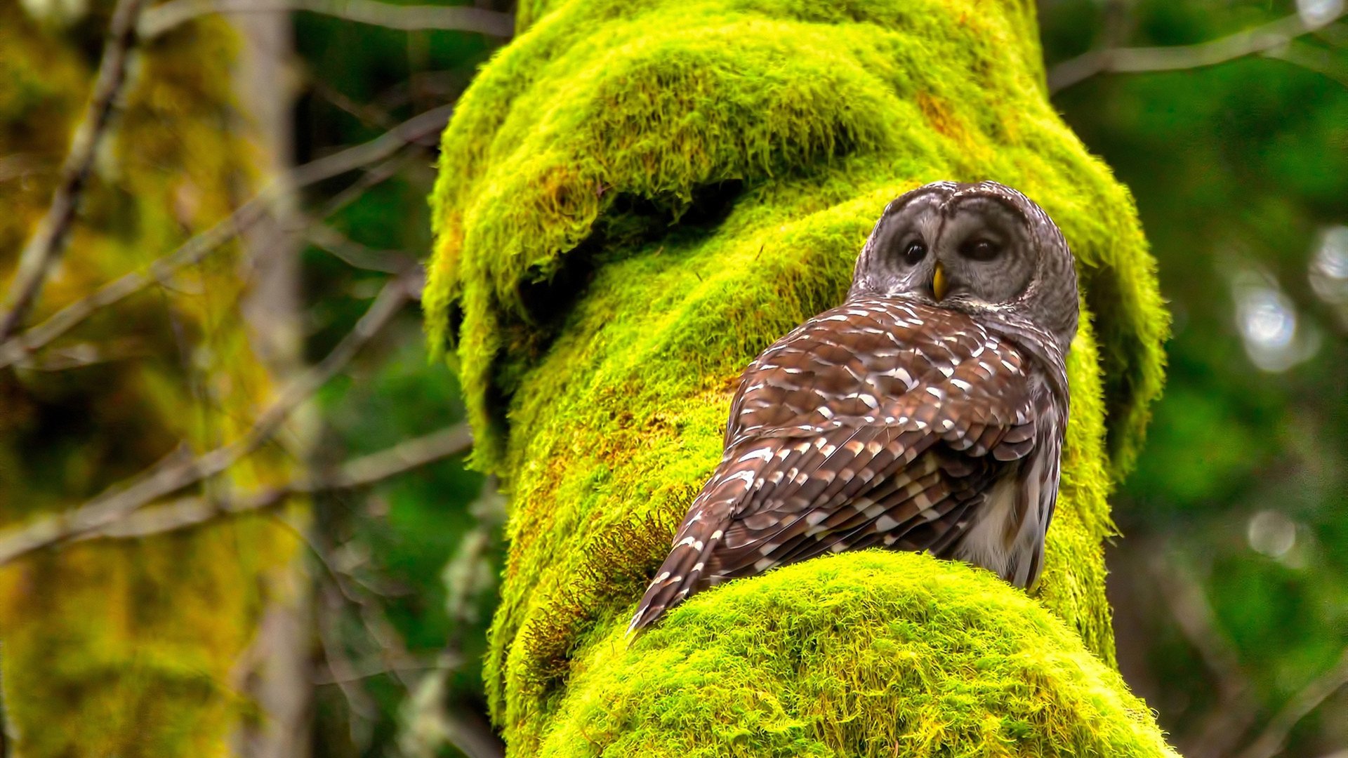 唐玄宗李隆基的皇后