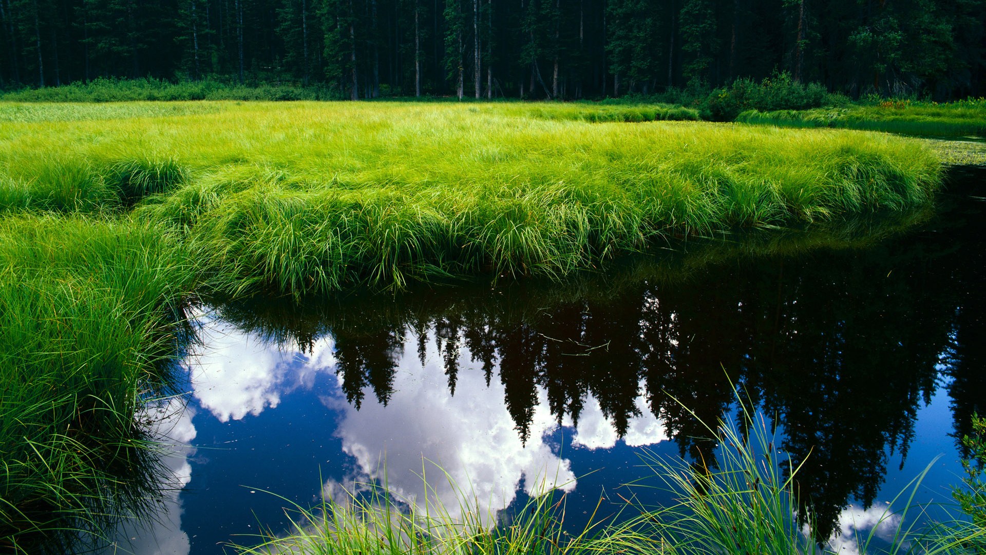 惊艳绝伦的古典诗词