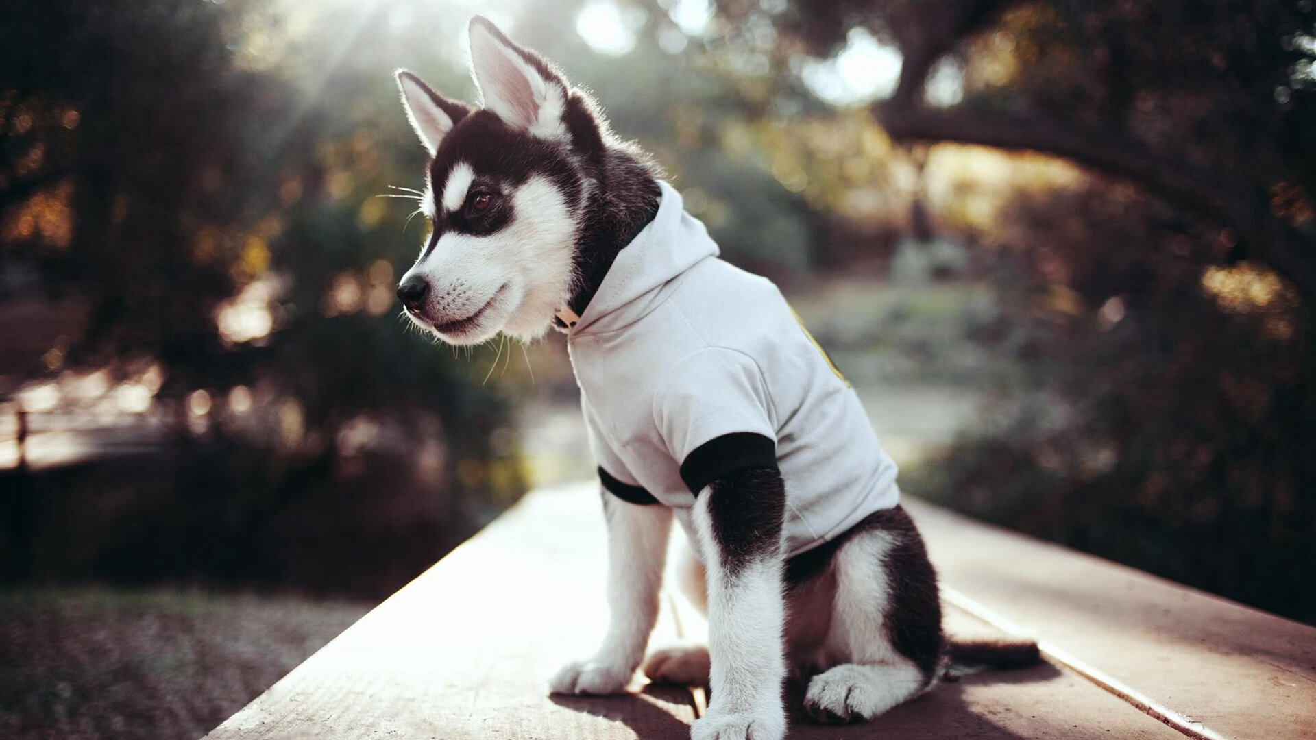 "波澜不惊"的含义是什么？