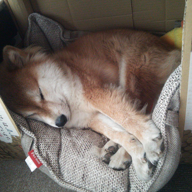 人类始祖亚当与夏娃的传说