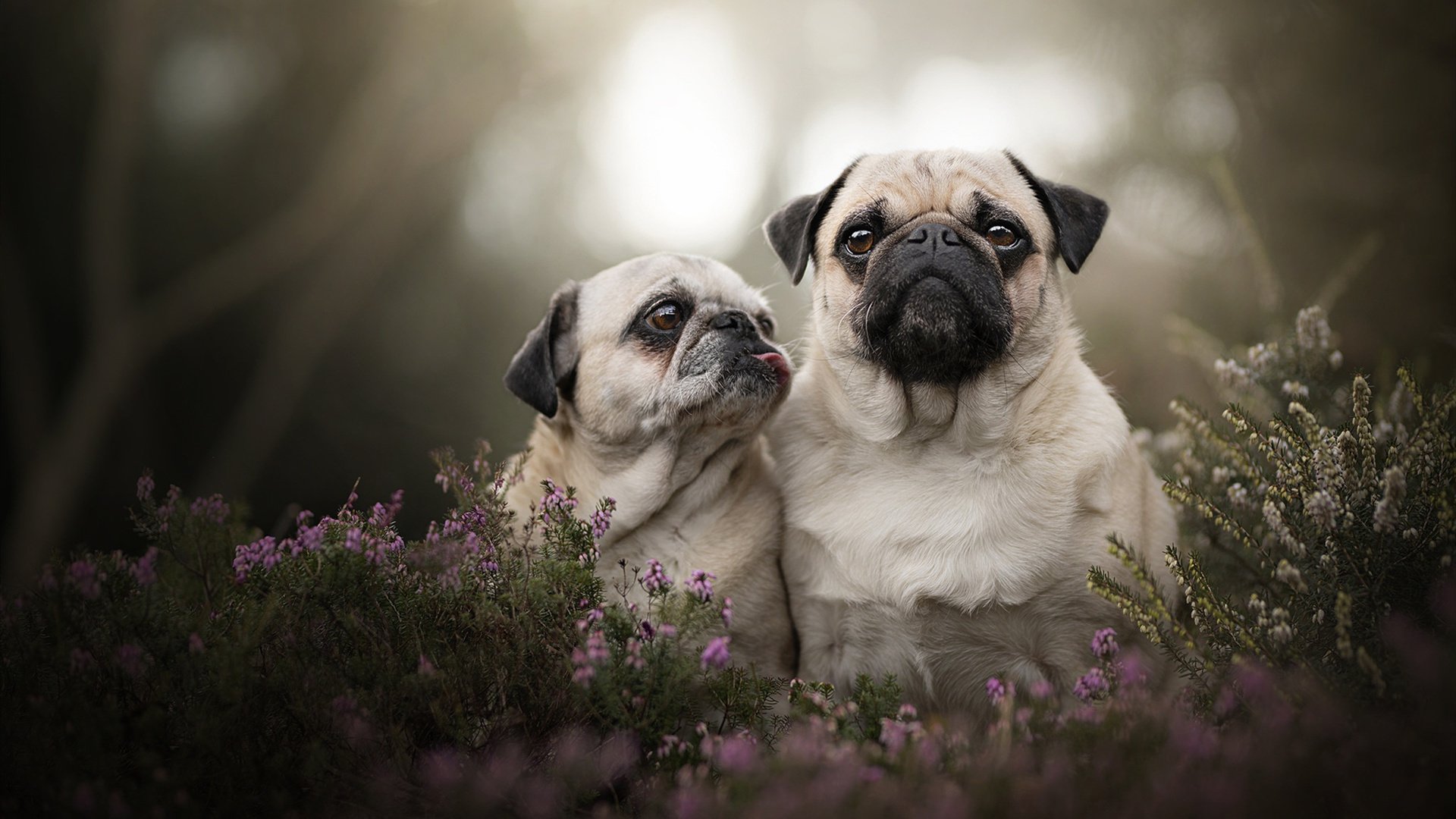 西华大学的创新创业教育及成果如何？