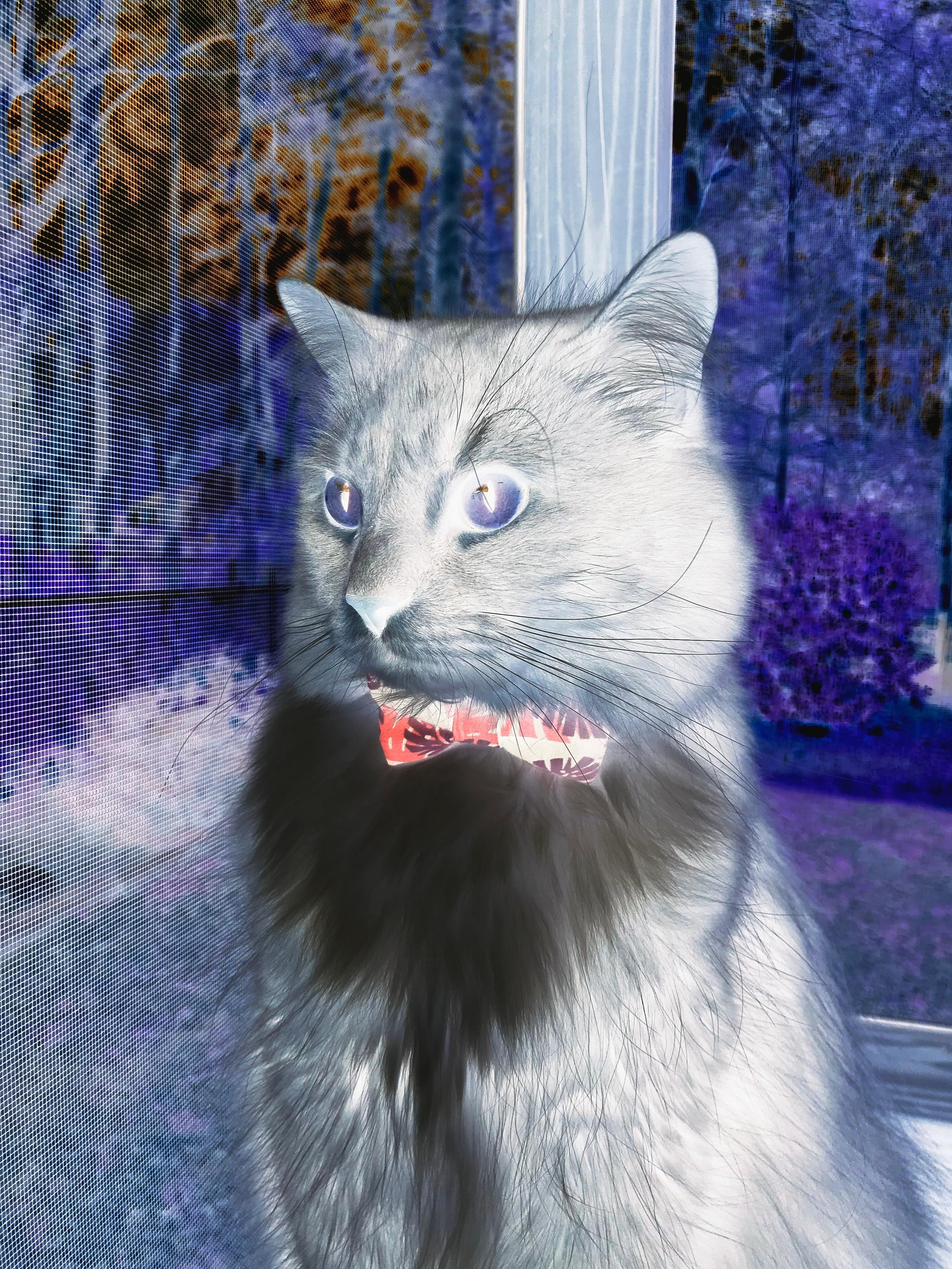 膝盖钉掌——离蹄（题）太远