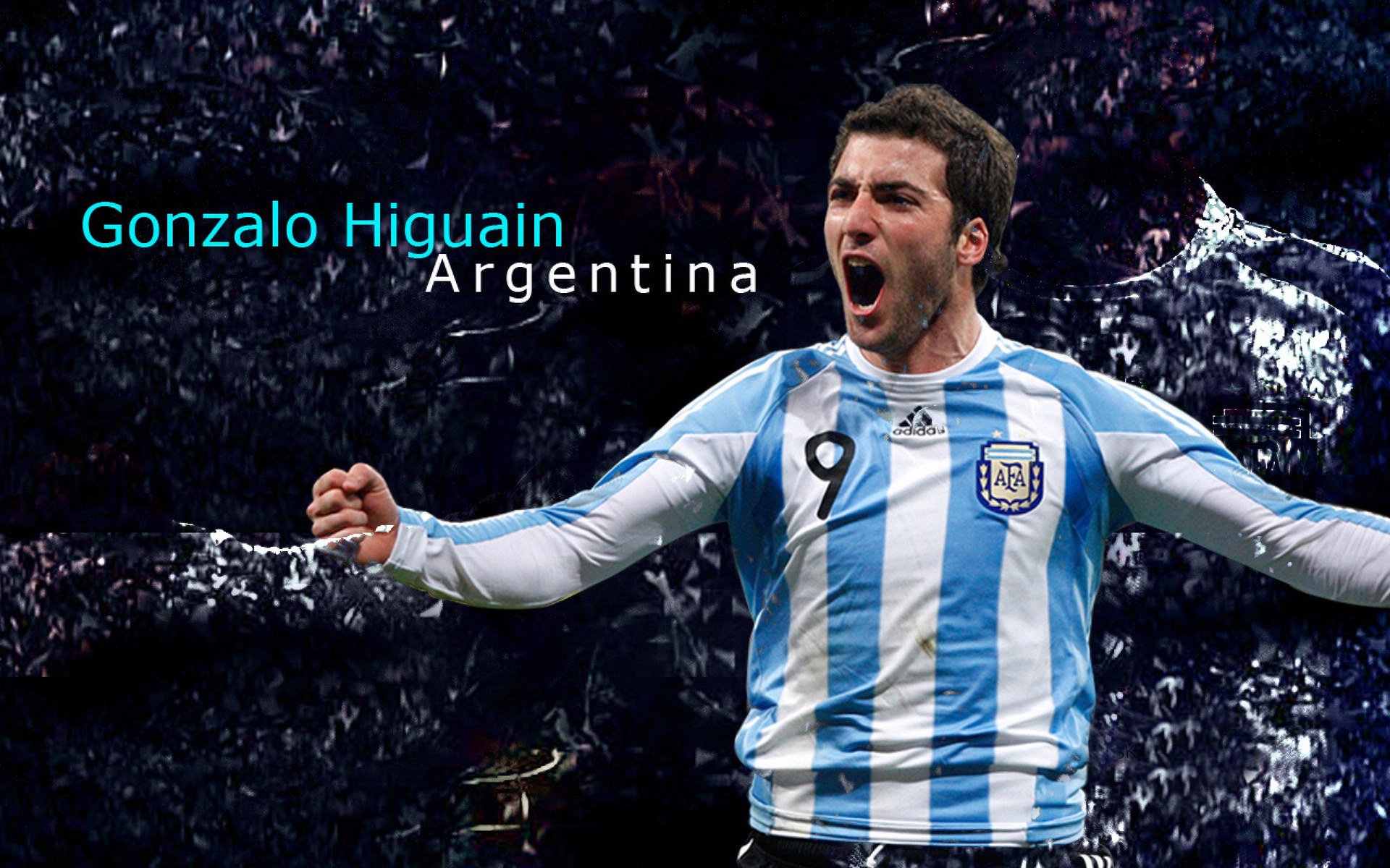 阿拉斯加犬饲养难度如何