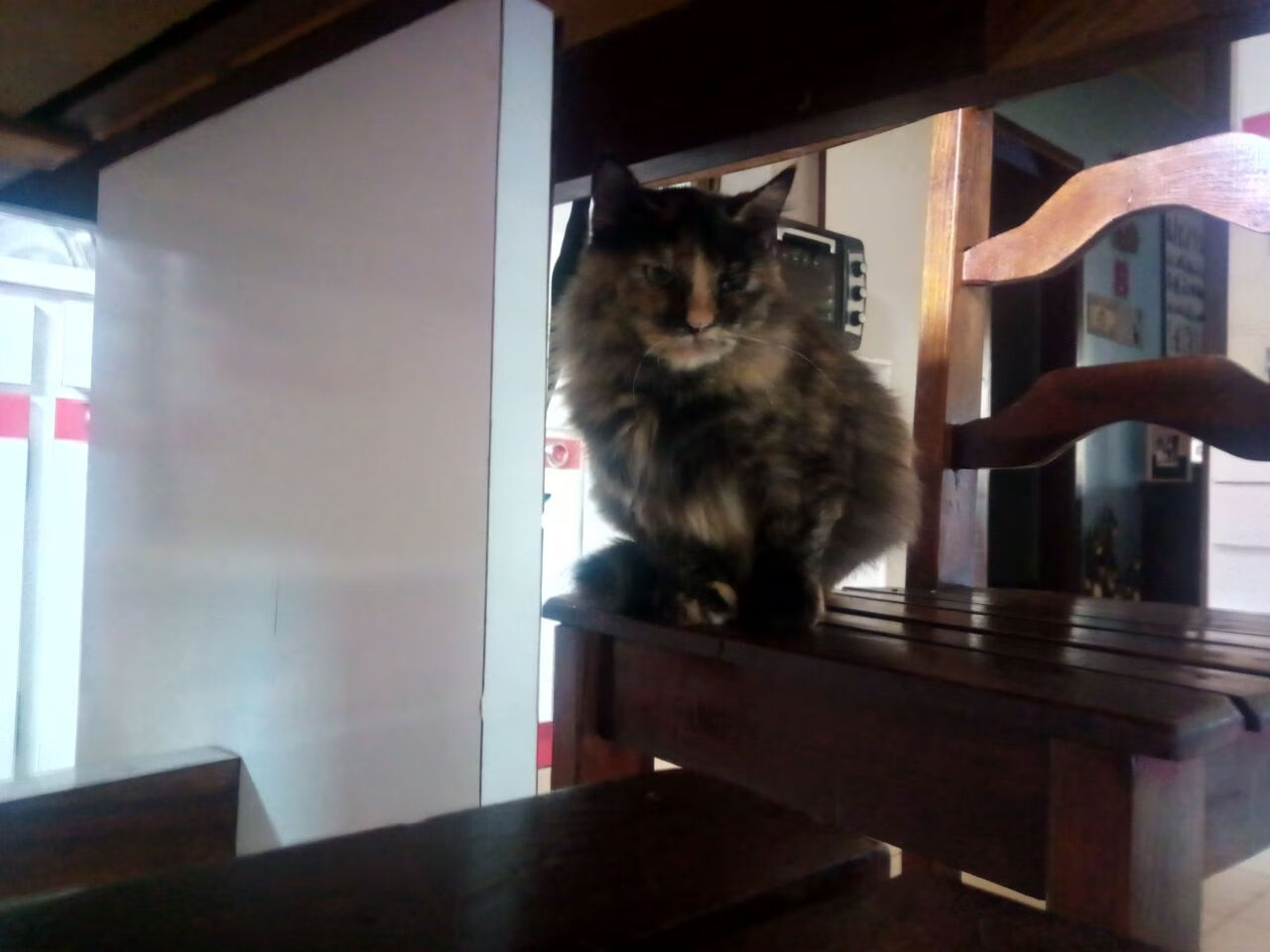 七彩圣诞树发光原理