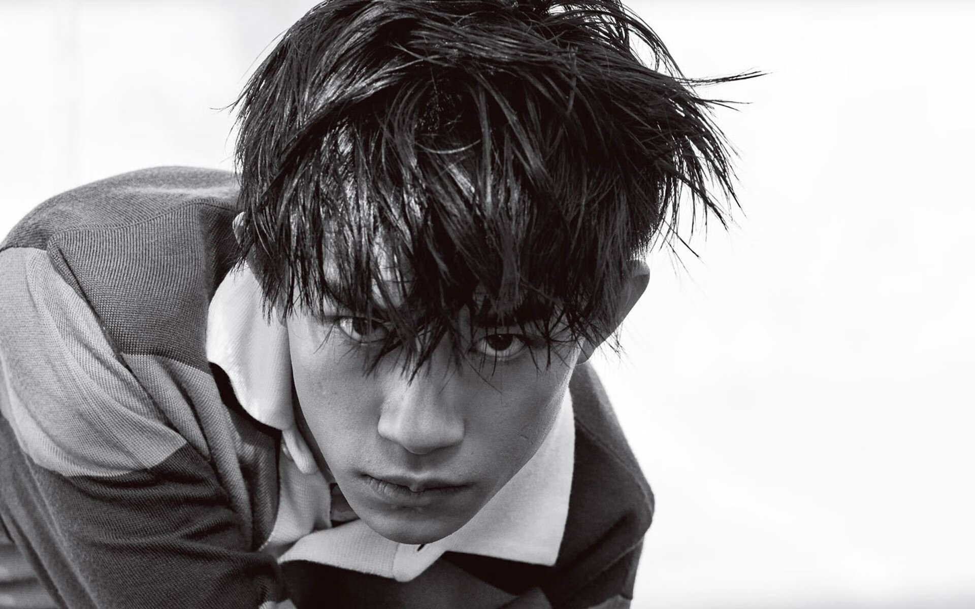 如何饲养阿拉斯加犬