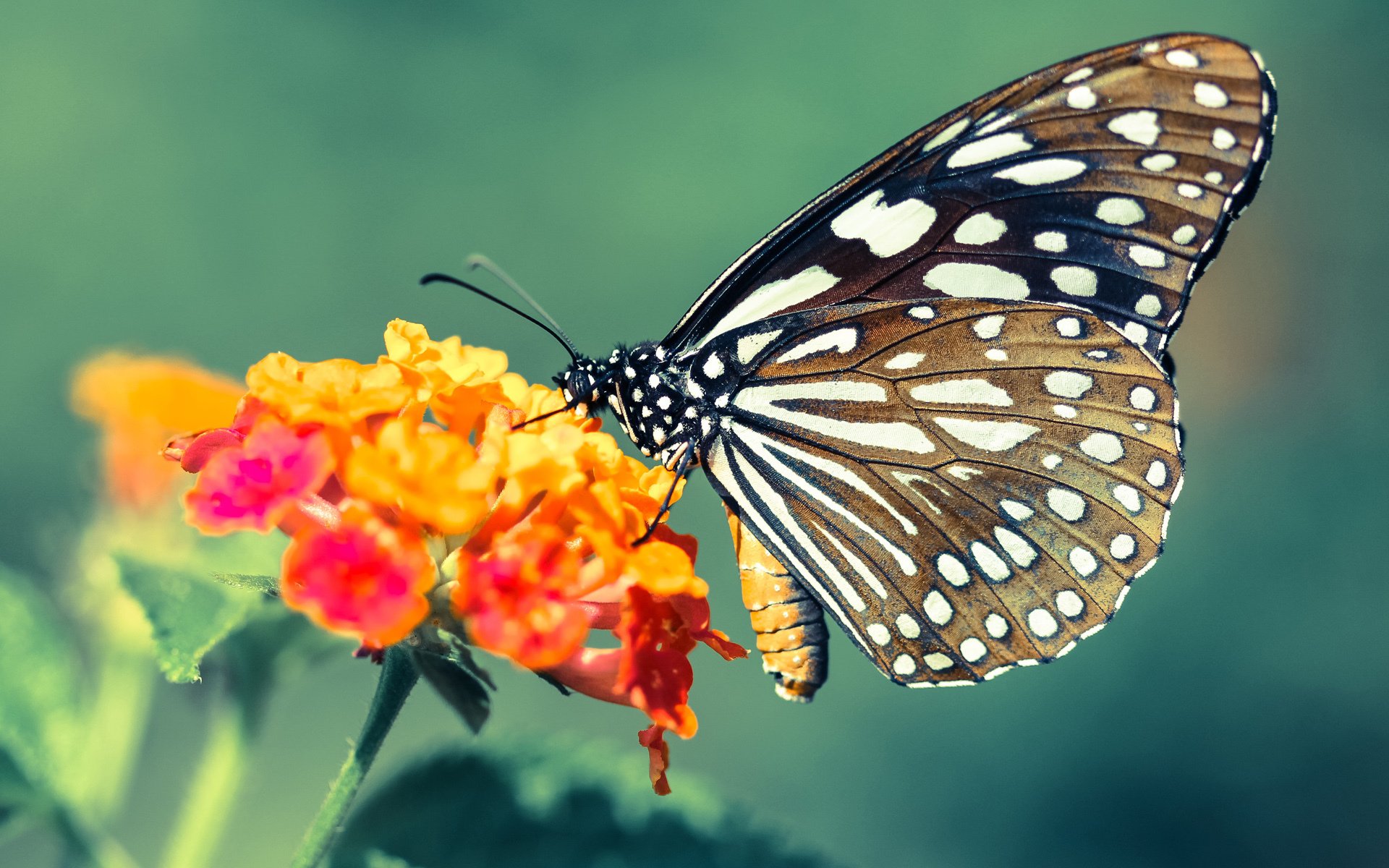 "宸字取名的适用人群与运用技巧"