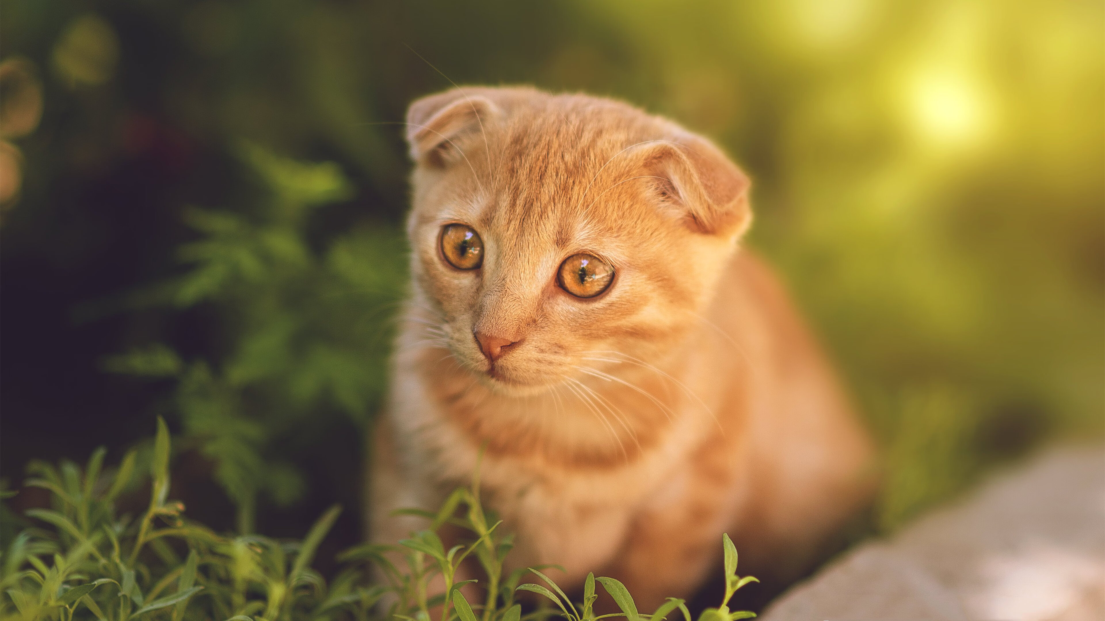 破碎群岛保卫战玩法指南