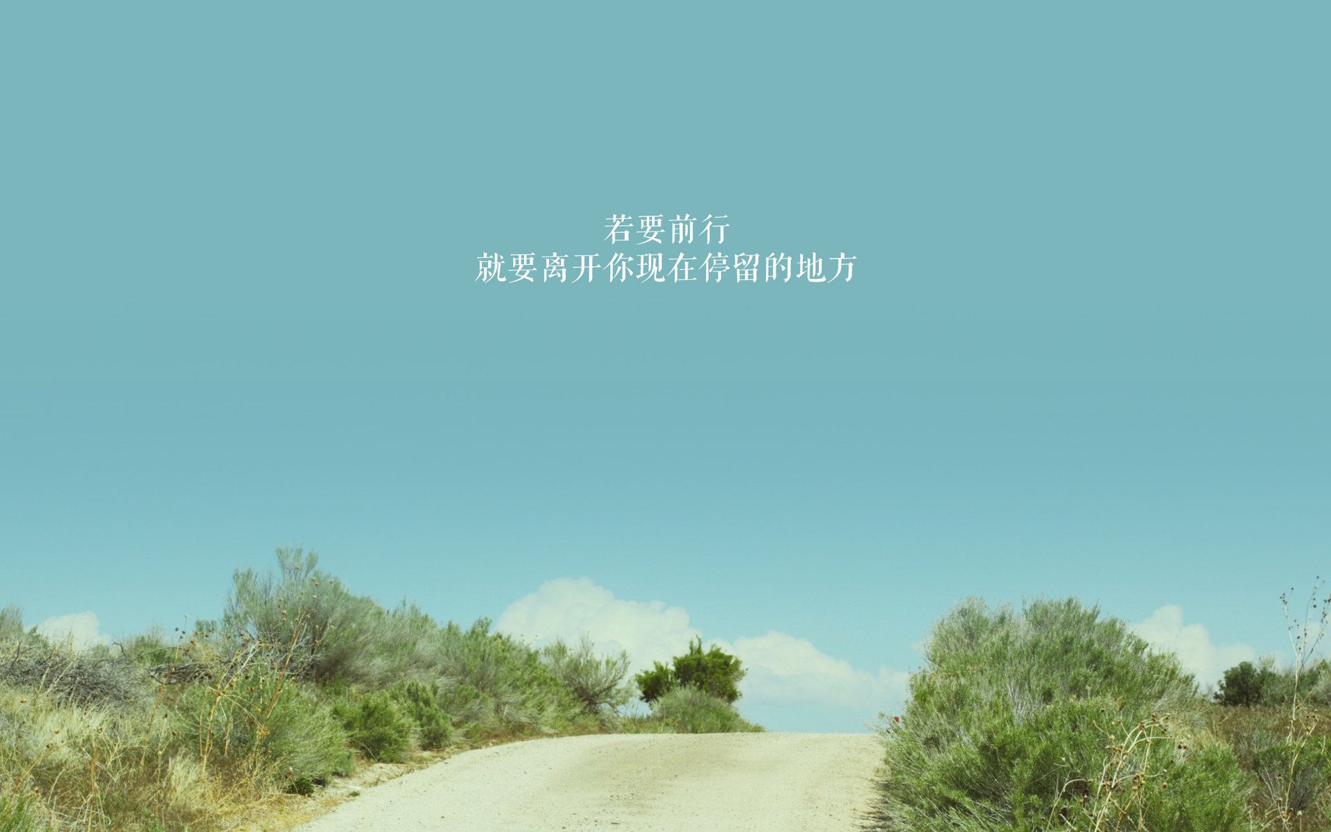 西葫芦家常做法与创意料理全攻略