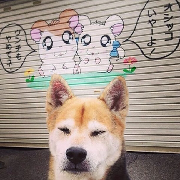 如何消灭铁线虫