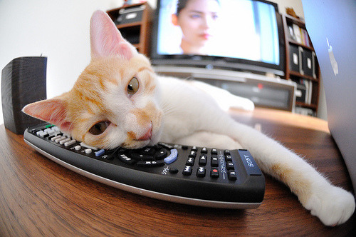 《悲伤逆流成河》播出时间