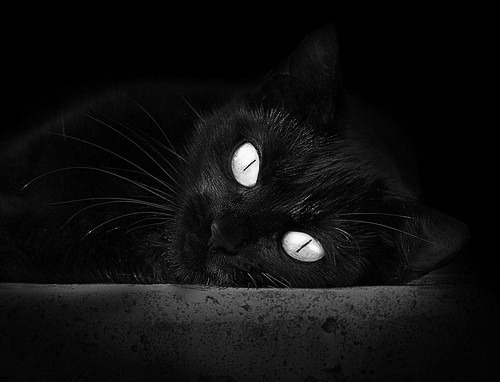 奔驰发动机漏油常见原因分析